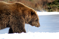 Eagle River-2