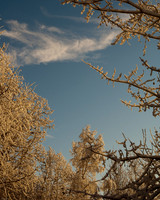 Eagle River Valley, Winter